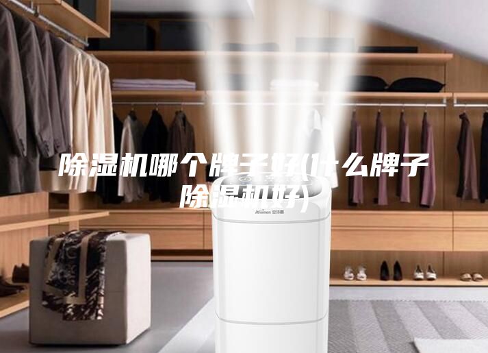 除濕機哪個(gè)牌子好(什么牌子除濕機好)