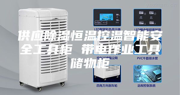 供應除濕恒溫控溫智能安全工具柜 帶電作業(yè)工具儲物柜