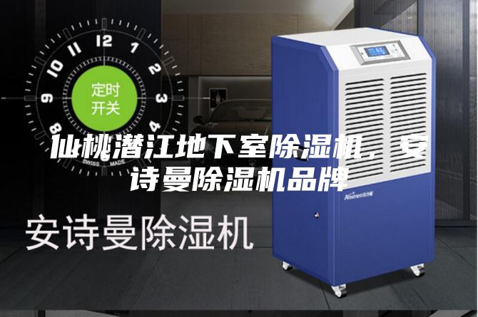 仙桃潛江地下室除濕機，安詩(shī)曼除濕機品牌