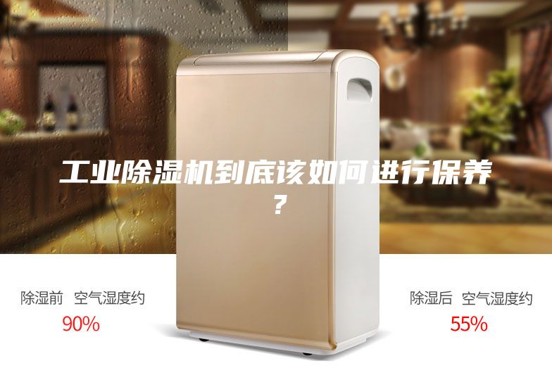 工業除濕機到底該如何進行保養？