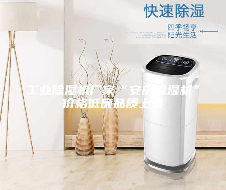 工業(yè)除濕機廠(chǎng)家“安慶除濕機”價(jià)格低廉品質(zhì)上乘