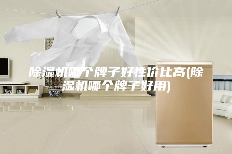 除濕機哪個(gè)牌子好性?xún)r(jià)比高(除濕機哪個(gè)牌子好用)