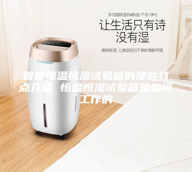 智能恒溫恒濕試驗箱的那些特點(diǎn)介紹 恒溫恒濕試驗箱是如何工作的