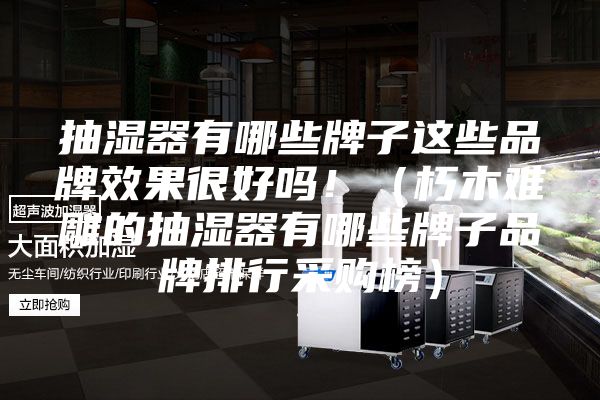 抽濕器有哪些牌子這些品牌效果很好嗎?。ㄐ嗄倦y雕的抽濕器有哪些牌子品牌排行采購榜）