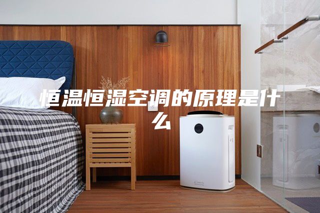 恒溫恒濕空調(diào)的原理是什么