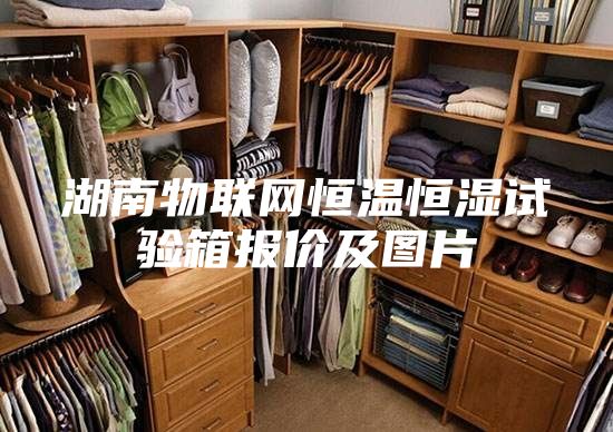 湖南物聯(lián)網(wǎng)恒溫恒濕試驗箱報價(jià)及圖片
