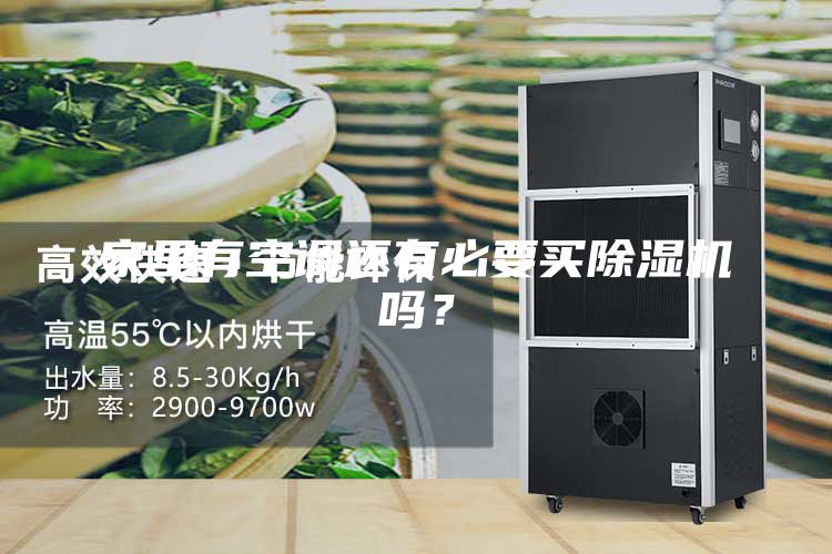 家里有空調還有必要買(mǎi)除濕機嗎？