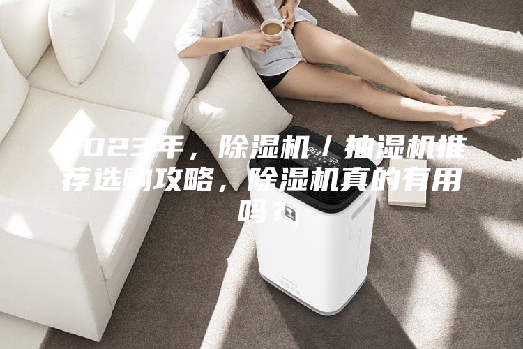 2023年，除濕機／抽濕機推薦選購攻略，除濕機真的有用嗎？