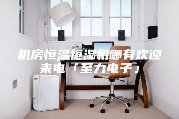 機房恒溫恒濕機哪有歡迎來(lái)電「至力電子」