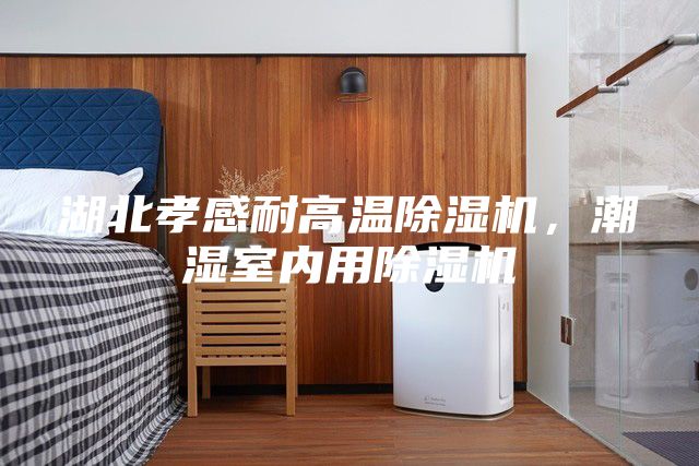 湖北孝感耐高溫除濕機，潮濕室內用除濕機