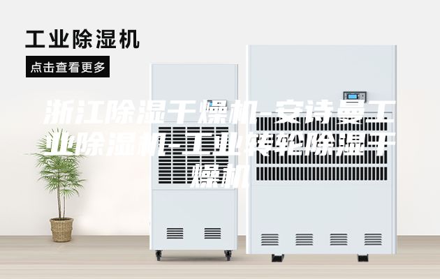 浙江除濕干燥機-安詩(shī)曼工業(yè)除濕機-工業(yè)轉輪除濕干燥機