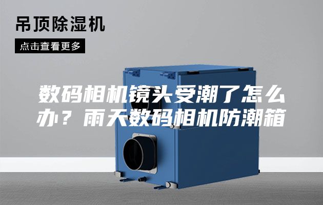 數碼相機鏡頭受潮了怎么辦？雨天數碼相機防潮箱