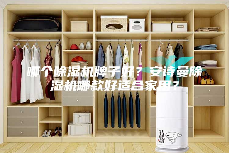 哪個除濕機牌子好？安詩曼除濕機哪款好適合家用？