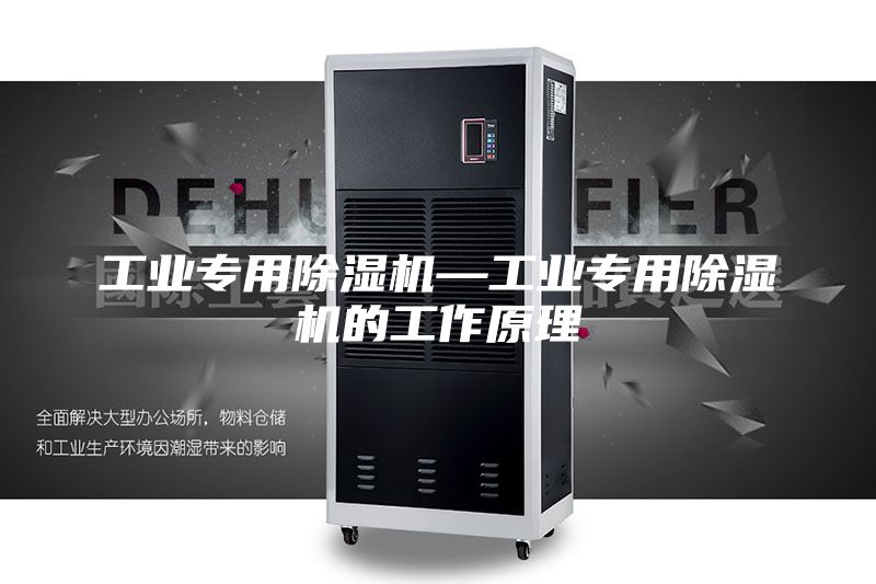 工業(yè)專(zhuān)用除濕機—工業(yè)專(zhuān)用除濕機的工作原理