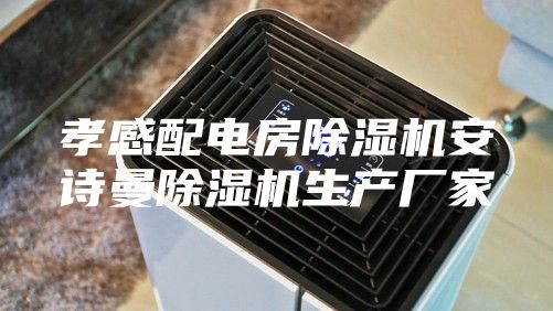 孝感配電房除濕機安詩(shī)曼除濕機生產(chǎn)廠(chǎng)家