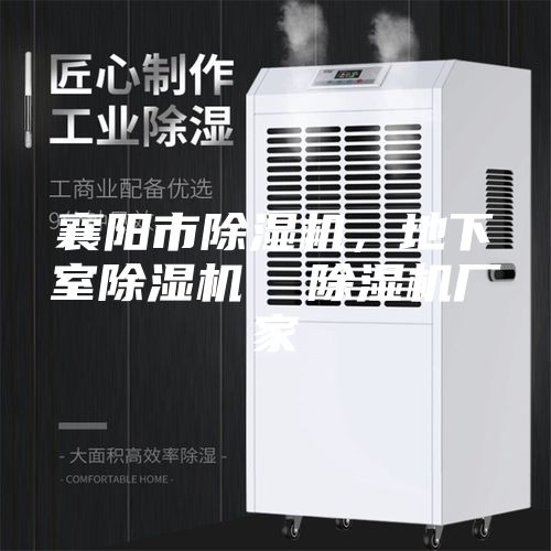 襄陽(yáng)市除濕機，地下室除濕機  除濕機廠(chǎng)家