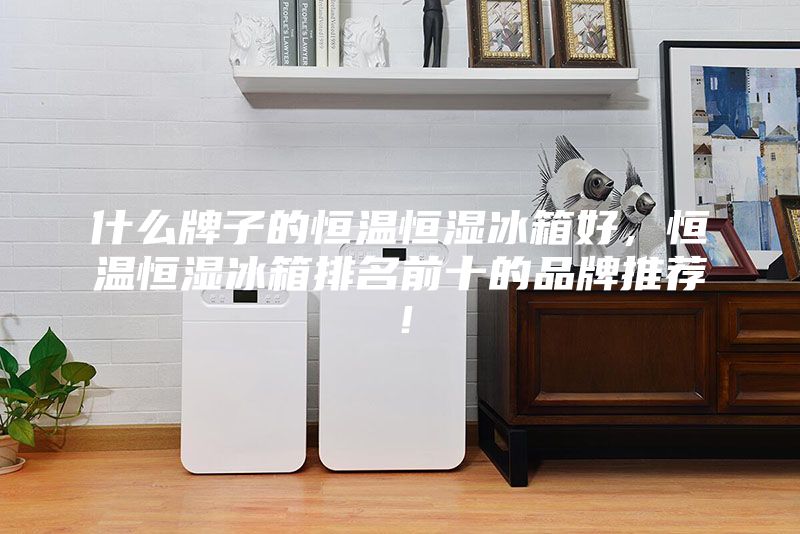什么牌子的恒溫恒濕冰箱好，恒溫恒濕冰箱排名前十的品牌推薦！