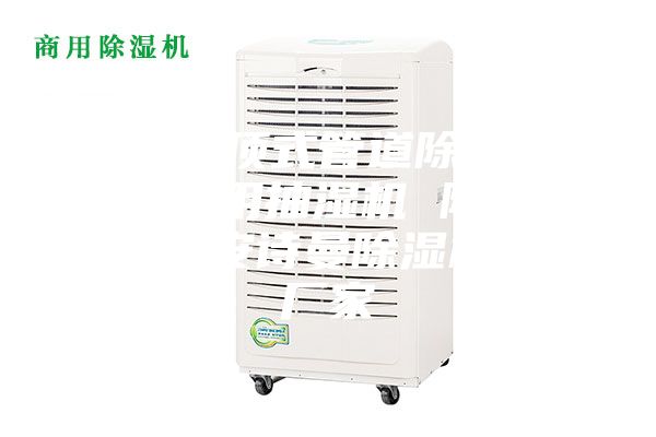 武漢吊頂式管道除濕機，游泳館用抽濕機 除濕防潮設備安詩(shī)曼除濕機生產(chǎn)廠(chǎng)家