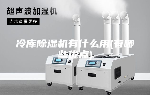 冷庫除濕機有什么用(有哪些優(yōu)點(diǎn))