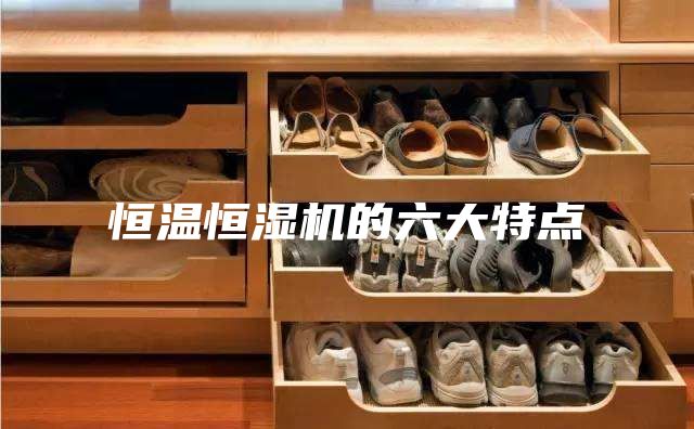 恒溫恒濕機的六大特點(diǎn)
