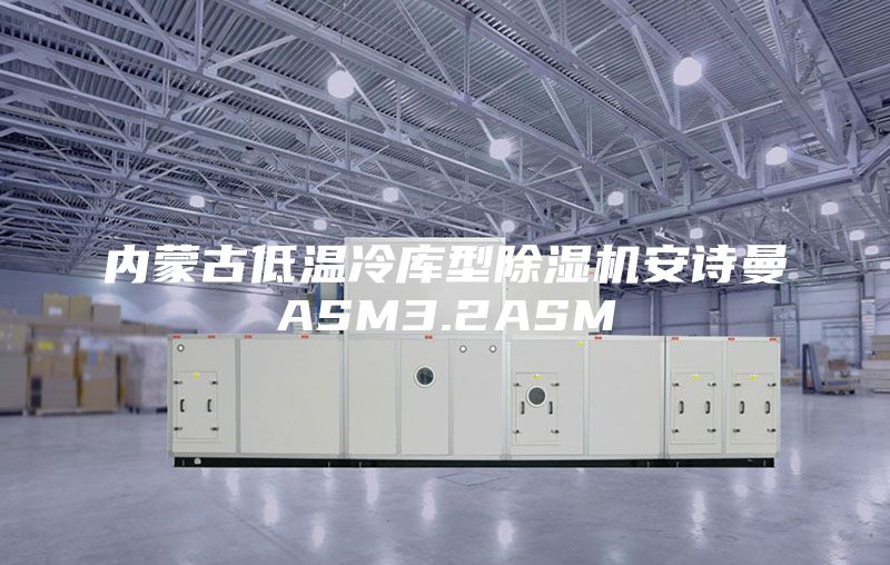 內蒙古低溫冷庫型除濕機安詩(shī)曼ASM3.2ASM