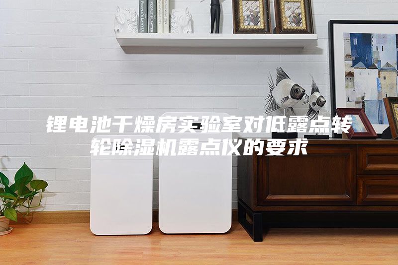 鋰電池干燥房實(shí)驗室對低露點(diǎn)轉輪除濕機露點(diǎn)儀的要求