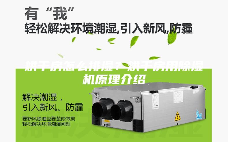 烘干房怎么排濕？烘干房用除濕機原理介紹