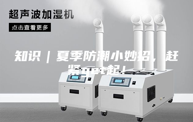 知識｜夏季防潮小妙招，趕緊get起！