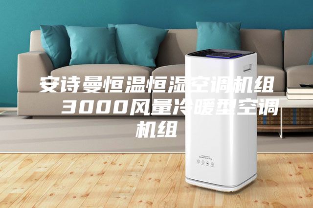 安詩(shī)曼恒溫恒濕空調機組  3000風(fēng)量冷暖型空調機組