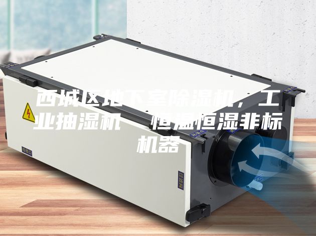 西城區地下室除濕機，工業(yè)抽濕機  恒溫恒濕非標機器