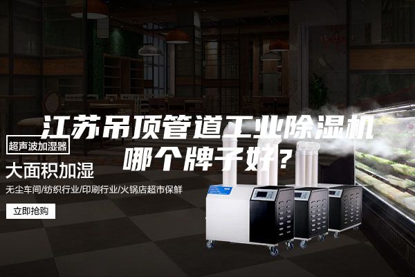 江蘇吊頂管道工業(yè)除濕機哪個(gè)牌子好？