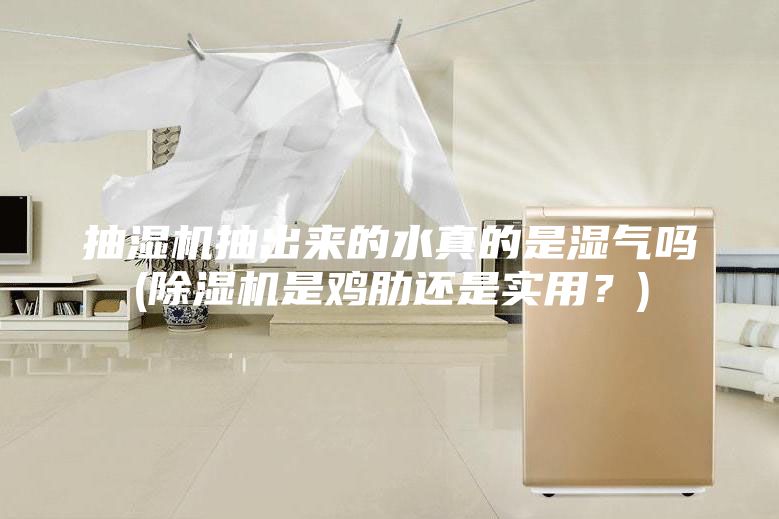 抽濕機抽出來(lái)的水真的是濕氣嗎(除濕機是雞肋還是實(shí)用？)