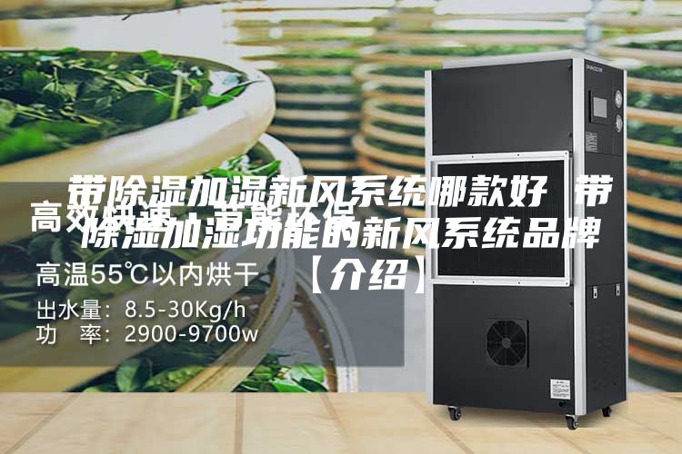 帶除濕加濕新風(fēng)系統哪款好 帶除濕加濕功能的新風(fēng)系統品牌【介紹】