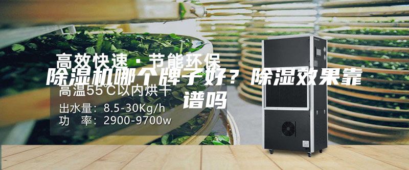 除濕機哪個(gè)牌子好？除濕效果靠譜嗎