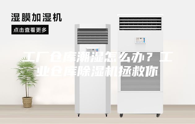 工廠(chǎng)倉庫潮濕怎么辦？工業(yè)倉庫除濕機拯救你