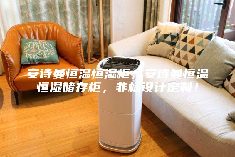 安詩(shī)曼恒溫恒濕柜，安詩(shī)曼恒溫恒濕儲存柜，非標設計定制！
