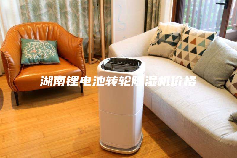 湖南鋰電池轉輪除濕機價(jià)格