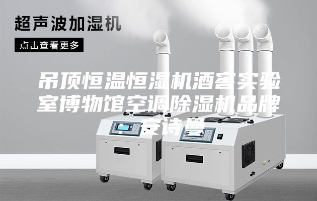 吊頂恒溫恒濕機酒窖實(shí)驗室博物館空調除濕機品牌：安詩(shī)曼