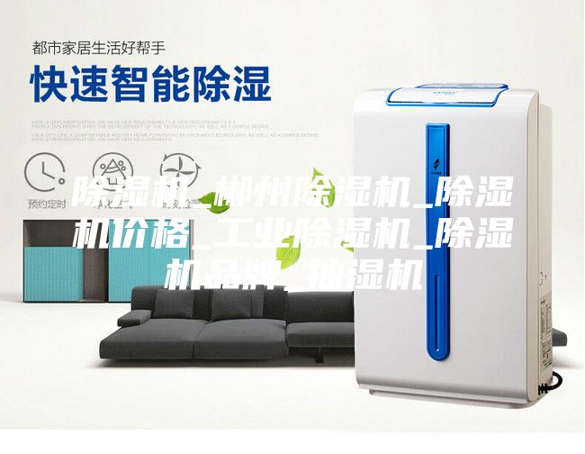 除濕機_郴州除濕機_除濕機價(jià)格_工業(yè)除濕機_除濕機品牌_抽濕機