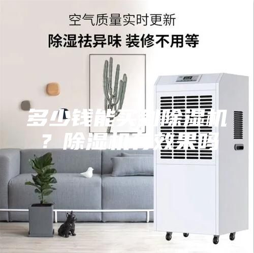 多少錢(qián)能買(mǎi)到除濕機？除濕機有效果嗎