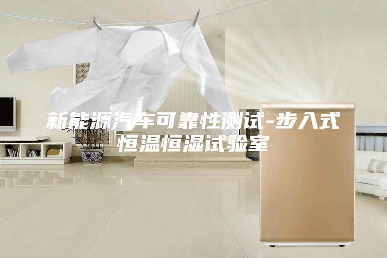 新能源汽車(chē)可靠性測試-步入式恒溫恒濕試驗室