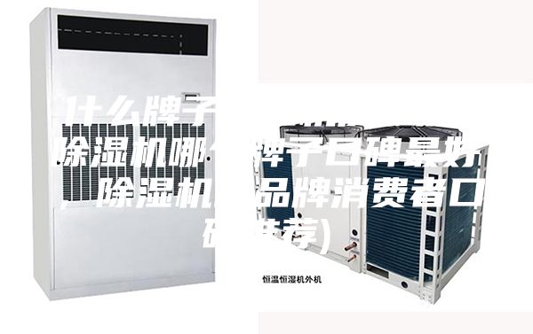 什么牌子除濕機質(zhì)量好(除濕機哪個(gè)牌子口碑最好，除濕機的品牌消費者口碑推薦)