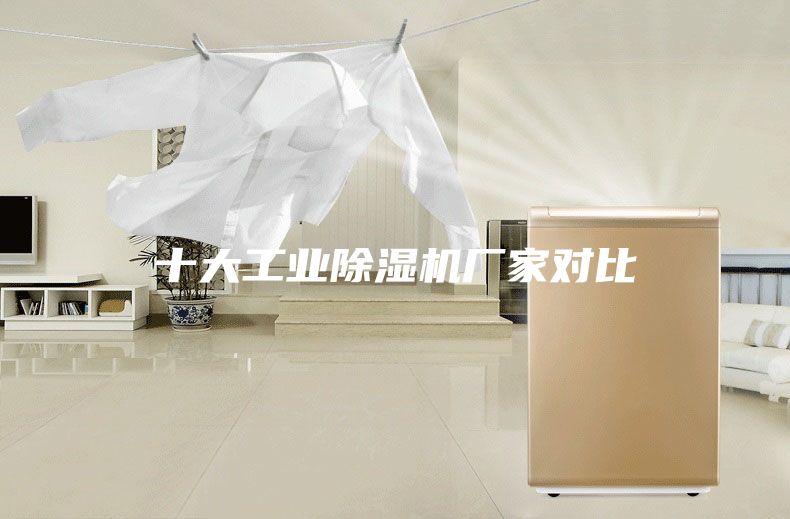 十大工業(yè)除濕機廠(chǎng)家對比