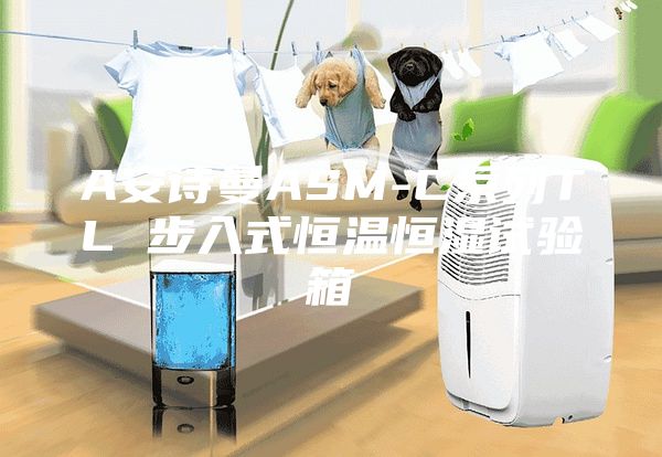 A安詩(shī)曼ASM-C系列TL 步入式恒溫恒濕試驗箱