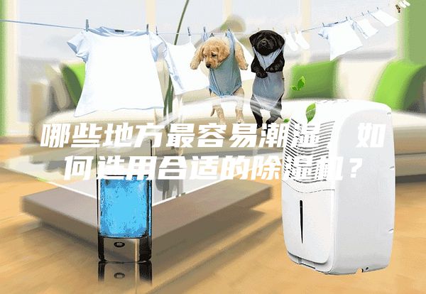 哪些地方最容易潮濕，如何選用合適的除濕機？