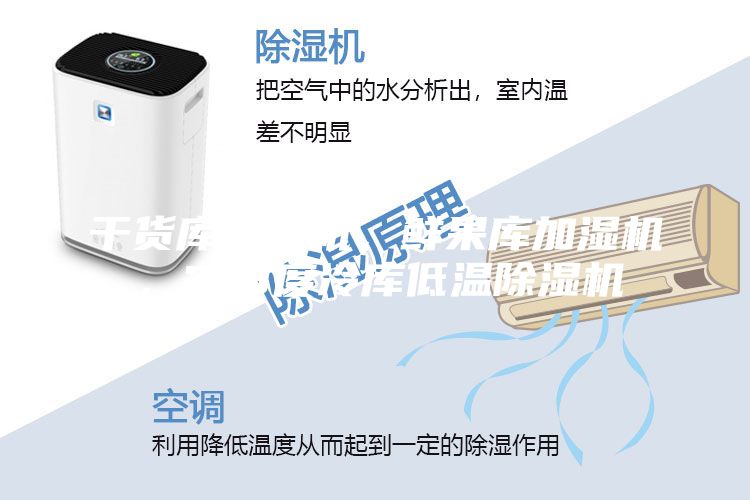 干貨庫除濕機，鮮果庫加濕機，2-8度冷庫低溫除濕機