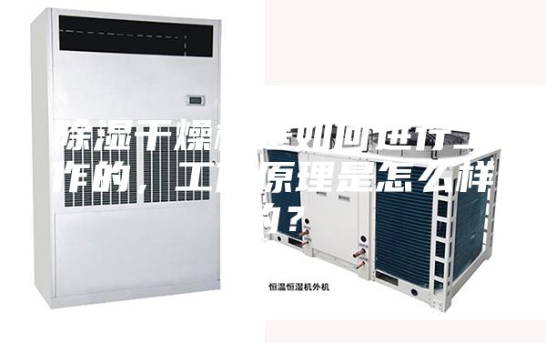 除濕干燥機是如何進(jìn)行工作的，工作原理是怎么樣的？