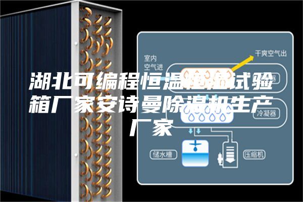 湖北可編程恒溫恒濕試驗箱廠(chǎng)家安詩(shī)曼除濕機生產(chǎn)廠(chǎng)家