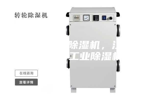 低露點(diǎn)轉輪除濕機，江蘇除濕機，工業(yè)除濕機