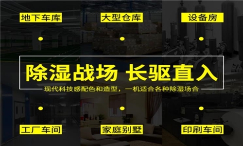 防霾除濕除甲醛，新風(fēng)除濕機都在行